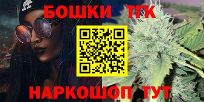 МДПВ Будённовск