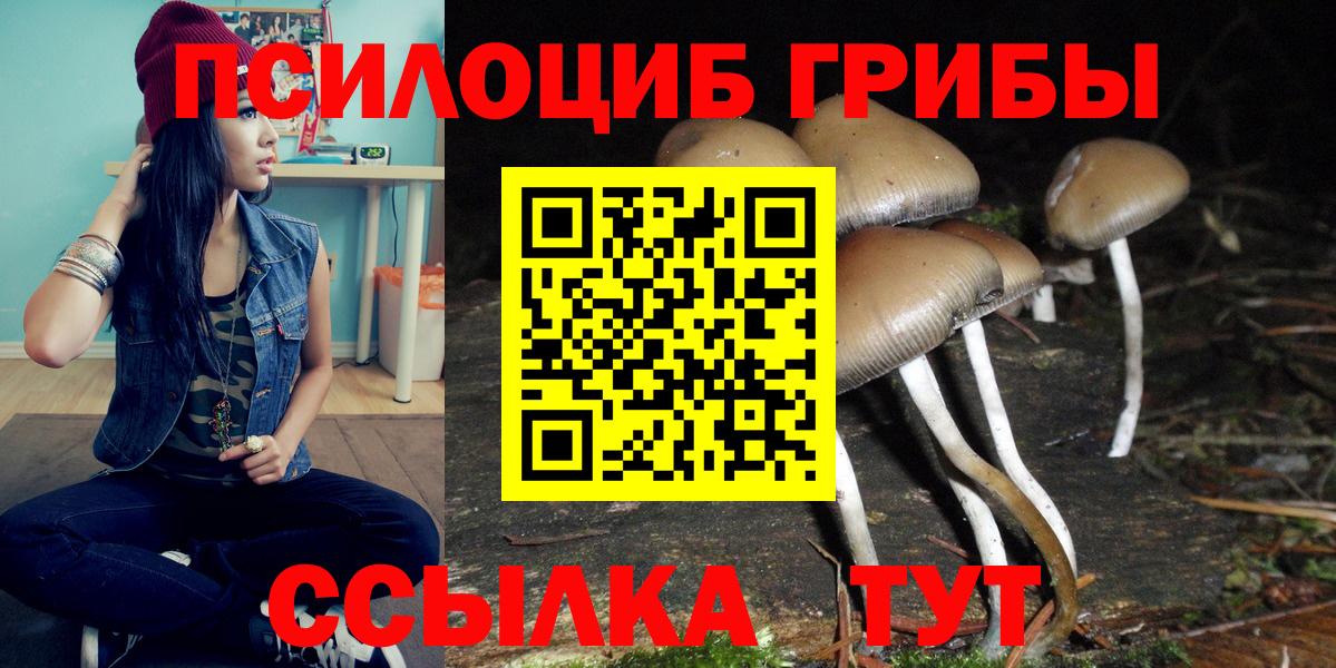 Галлюциногенные грибы мицелий Балашов