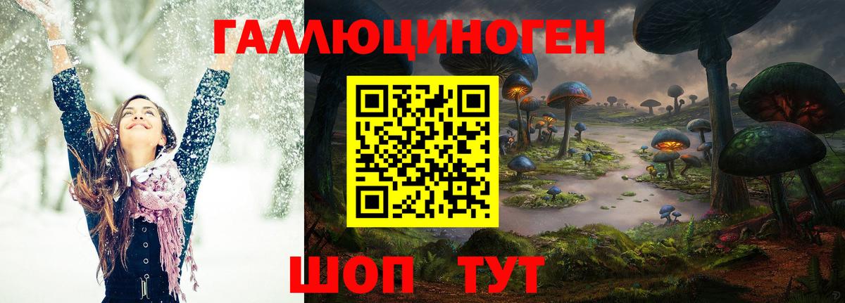 Балашов  Галлюциногенные грибы GOLDEN TEACHER  Вход с VPN  Псилоцибиновые грибы прущие грибы 